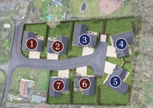 Photo 4- click for photo gallery